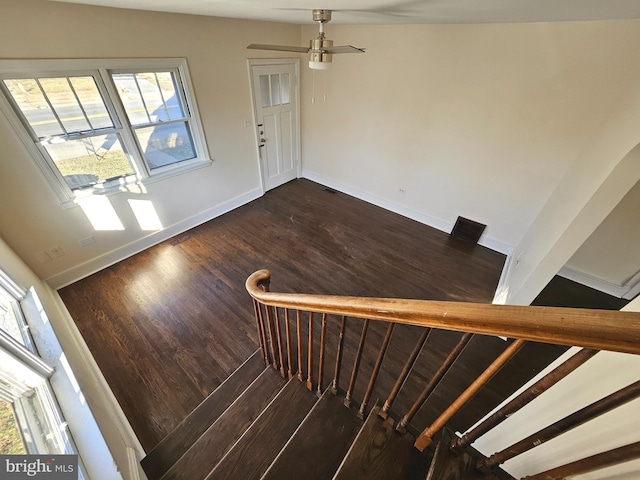 staircase featuring wood-type flooring and ceiling fan