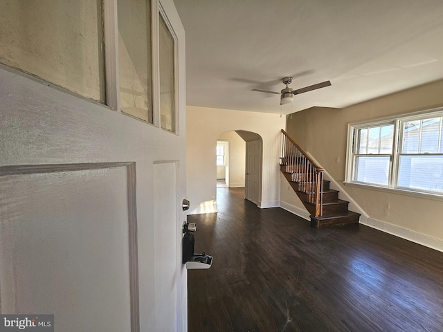 entryway with ceiling fan, a wealth of natural light, and dark hardwood / wood-style flooring