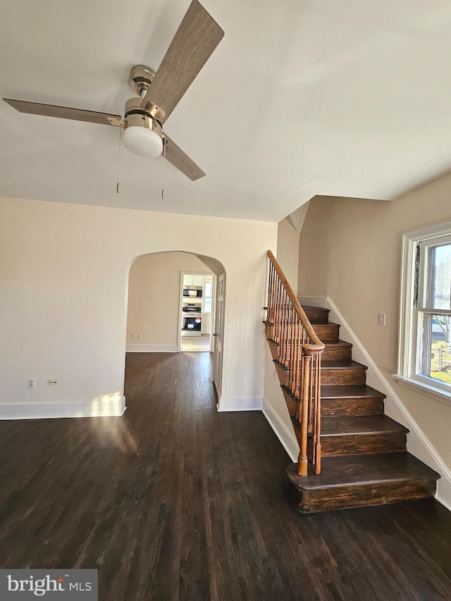 stairway featuring ceiling fan and wood-type flooring