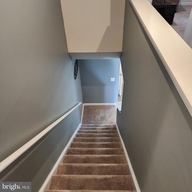 stairway featuring carpet flooring