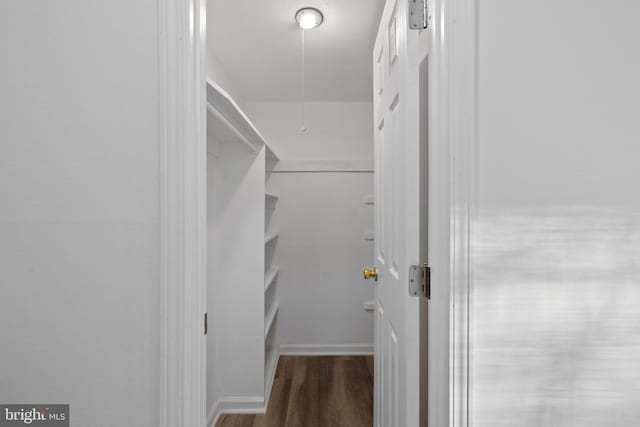 walk in closet featuring dark hardwood / wood-style flooring