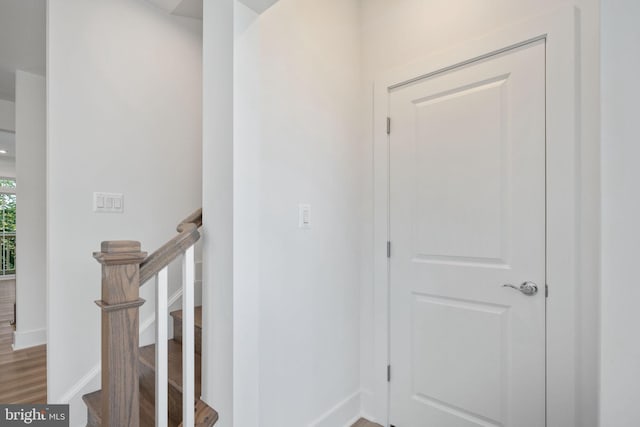 interior space featuring wood-type flooring