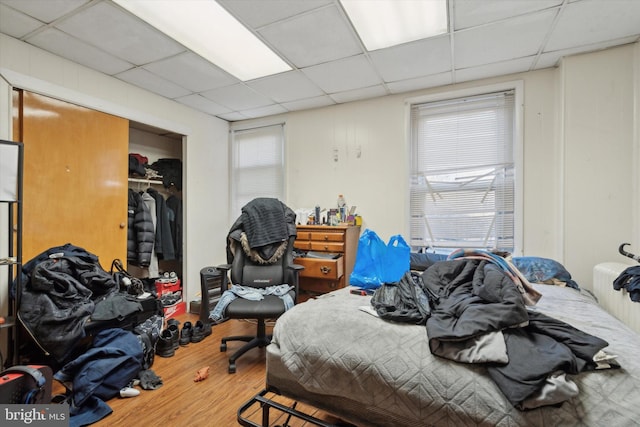 bedroom with wood-type flooring, a paneled ceiling, and a closet