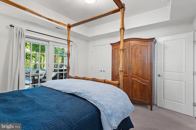 bedroom featuring light colored carpet and a raised ceiling