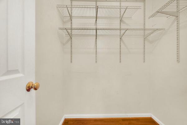 spacious closet featuring wood finished floors