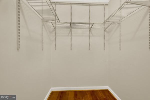 spacious closet featuring wood finished floors