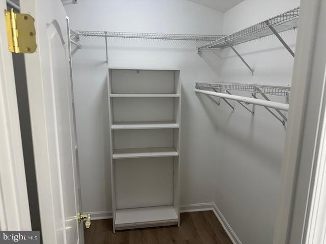 spacious closet with dark wood-type flooring