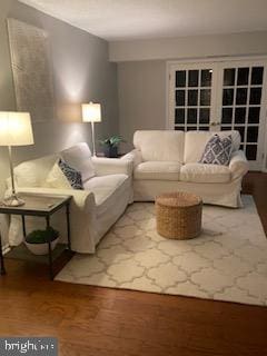 living room featuring wood-type flooring