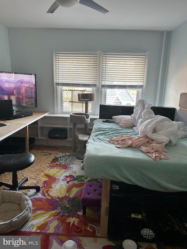 bedroom with ceiling fan and multiple windows