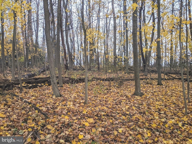 view of landscape