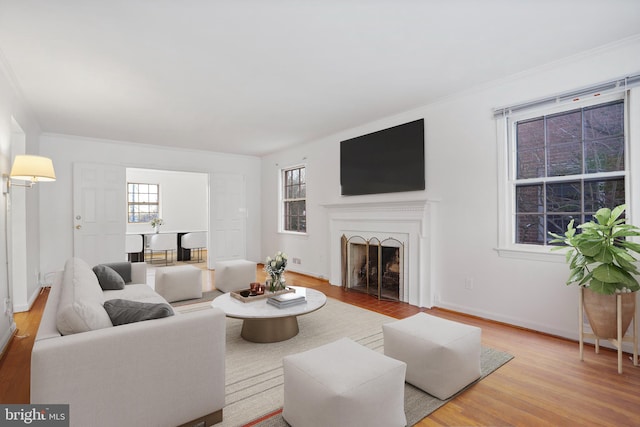 living room with crown molding and light wood-type flooring