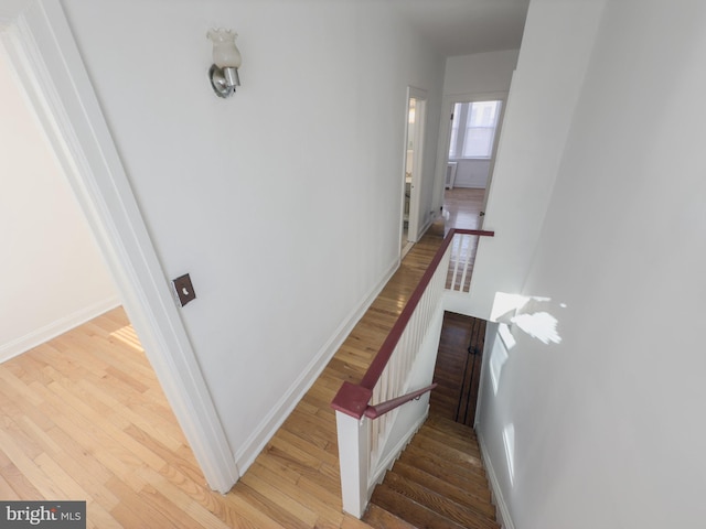 staircase featuring wood-type flooring