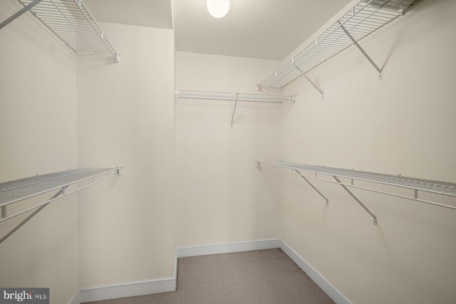 walk in closet with light colored carpet