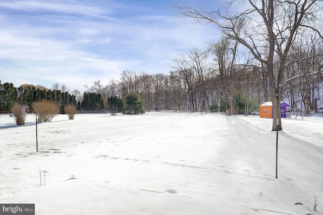 view of yard layered in snow