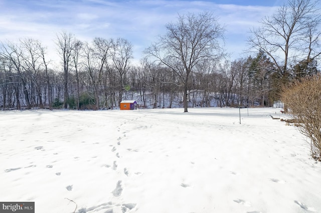 view of yard covered in snow