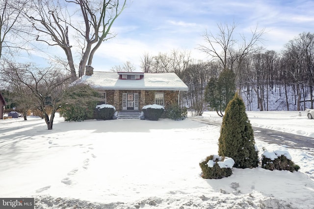 view of snowy yard