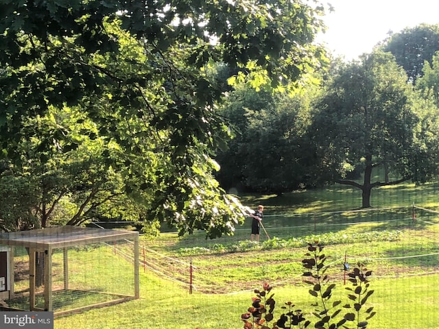 view of yard featuring a rural view