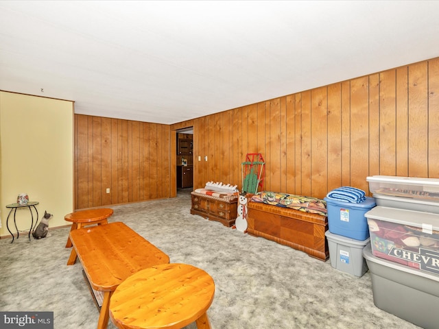 living area featuring wood walls and carpet flooring