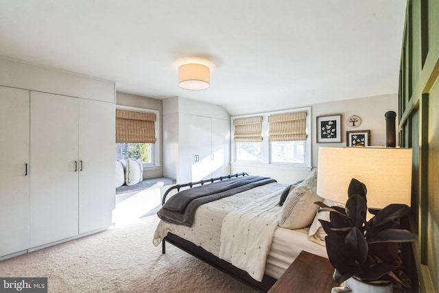 carpeted bedroom featuring multiple closets