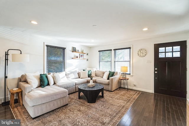 living room with dark wood-type flooring