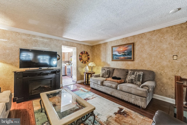 living room featuring wood-type flooring, crown molding, and a textured ceiling