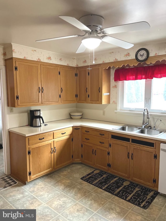 kitchen featuring dishwasher, sink, and ceiling fan