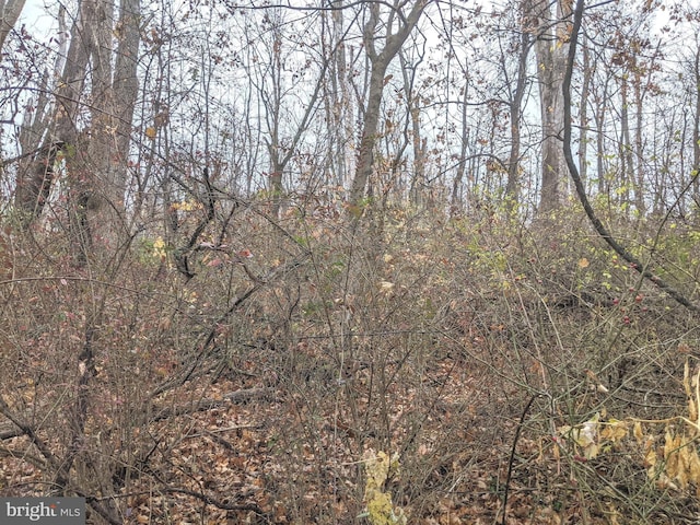 view of nature