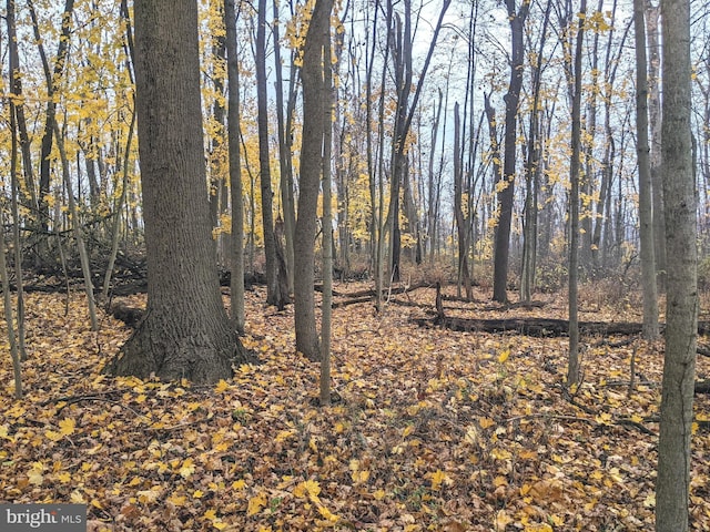 view of nature