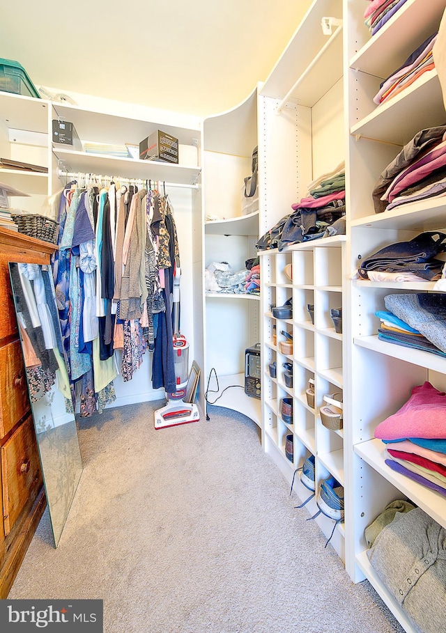 walk in closet with carpet