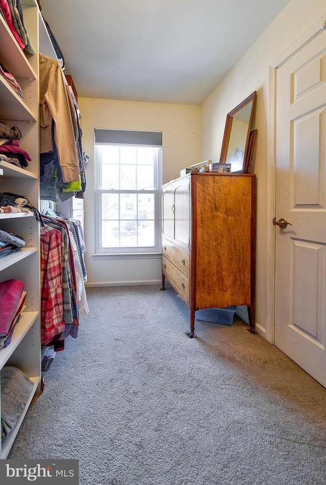 spacious closet with carpet floors