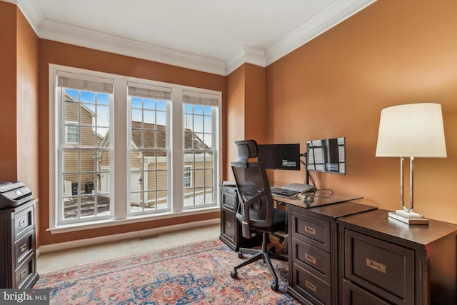 carpeted home office with ornamental molding