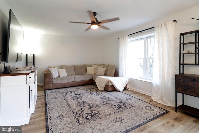 living room with ceiling fan and light hardwood / wood-style flooring