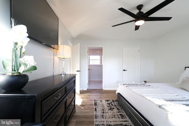 bedroom featuring ceiling fan and dark hardwood / wood-style flooring