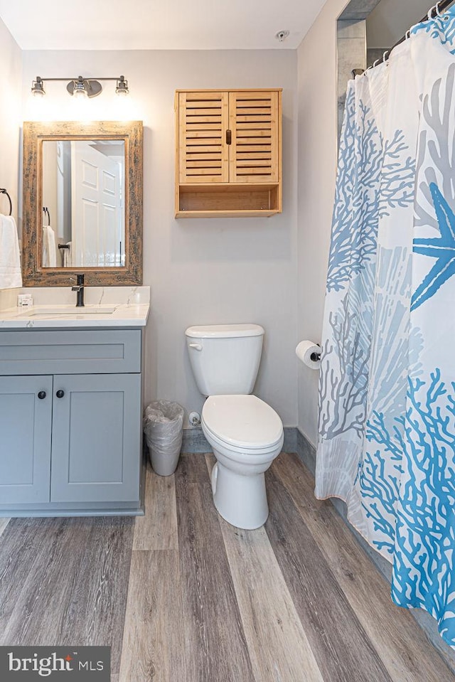 bathroom with wood-type flooring, vanity, and toilet