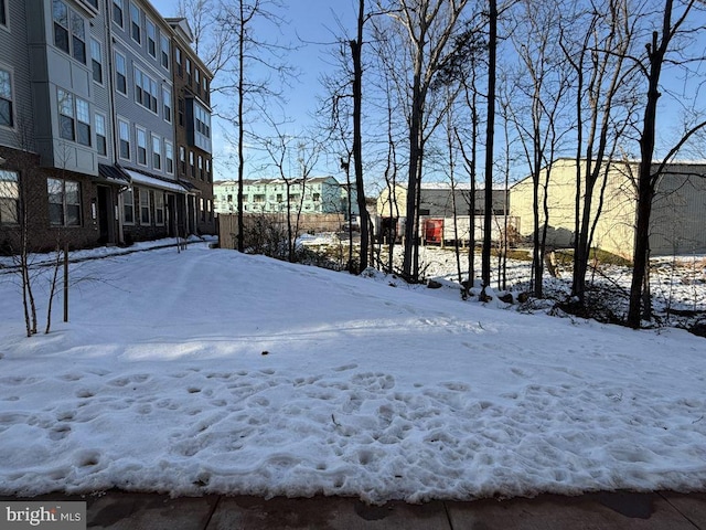 view of snowy yard