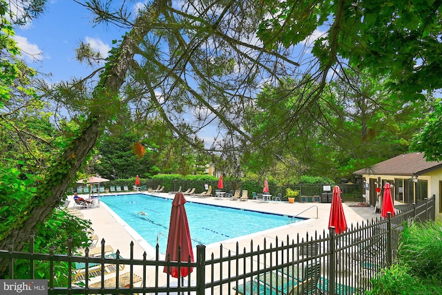 view of swimming pool featuring a patio area