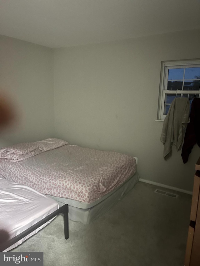 carpeted bedroom with a closet