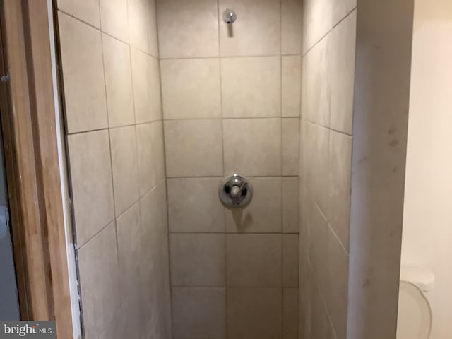 interior details with tiled shower