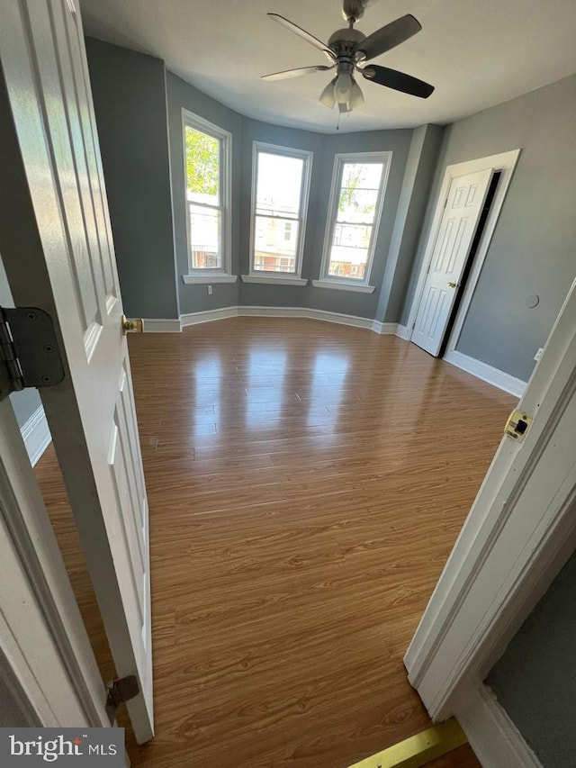 spare room with ceiling fan and light hardwood / wood-style flooring