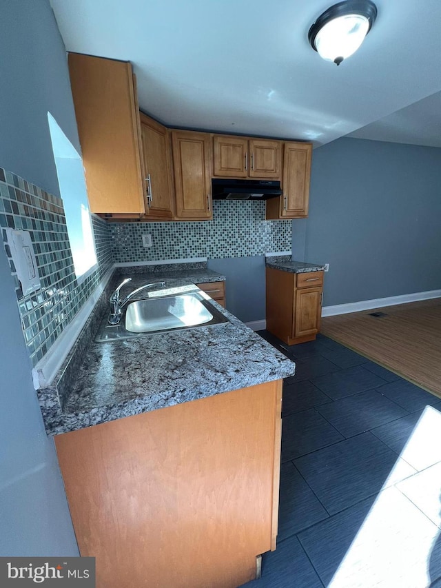 kitchen with dark hardwood / wood-style flooring, sink, and decorative backsplash