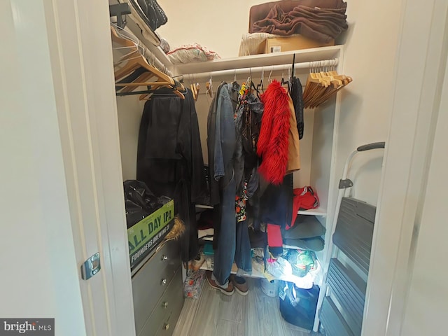 walk in closet with hardwood / wood-style flooring