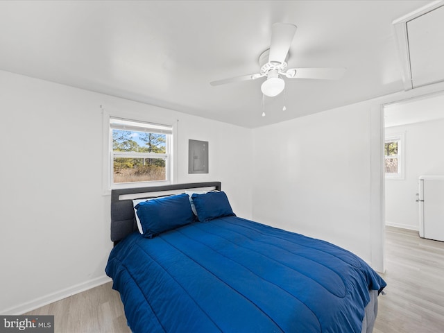 bedroom featuring attic access, electric panel, baseboards, a ceiling fan, and light wood-type flooring