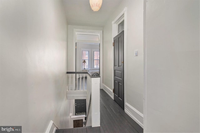 hall with dark hardwood / wood-style flooring