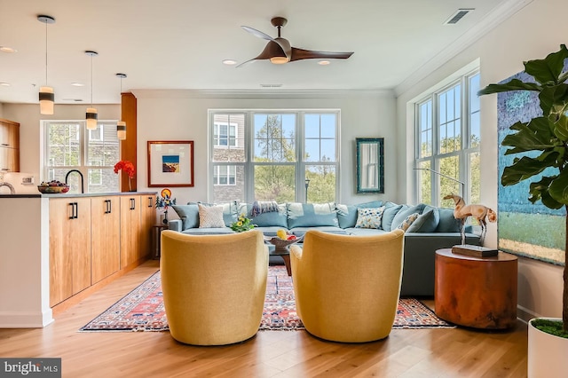 living area with visible vents, a healthy amount of sunlight, crown molding, and light wood finished floors