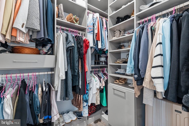 view of spacious closet