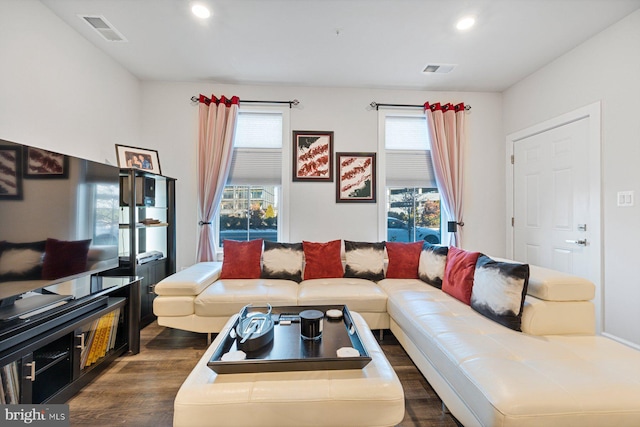 living room featuring dark hardwood / wood-style floors