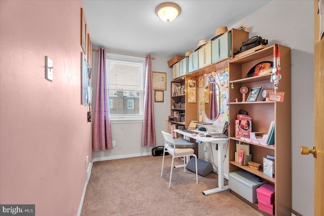 office space with light colored carpet