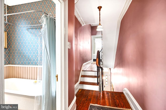 corridor featuring ornamental molding and dark hardwood / wood-style floors