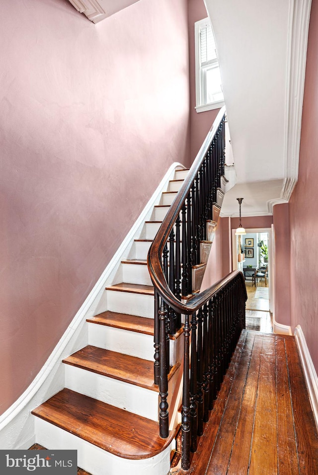 stairs with hardwood / wood-style flooring