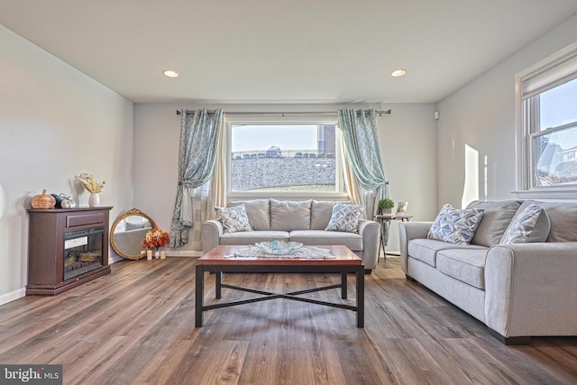 living room with hardwood / wood-style floors